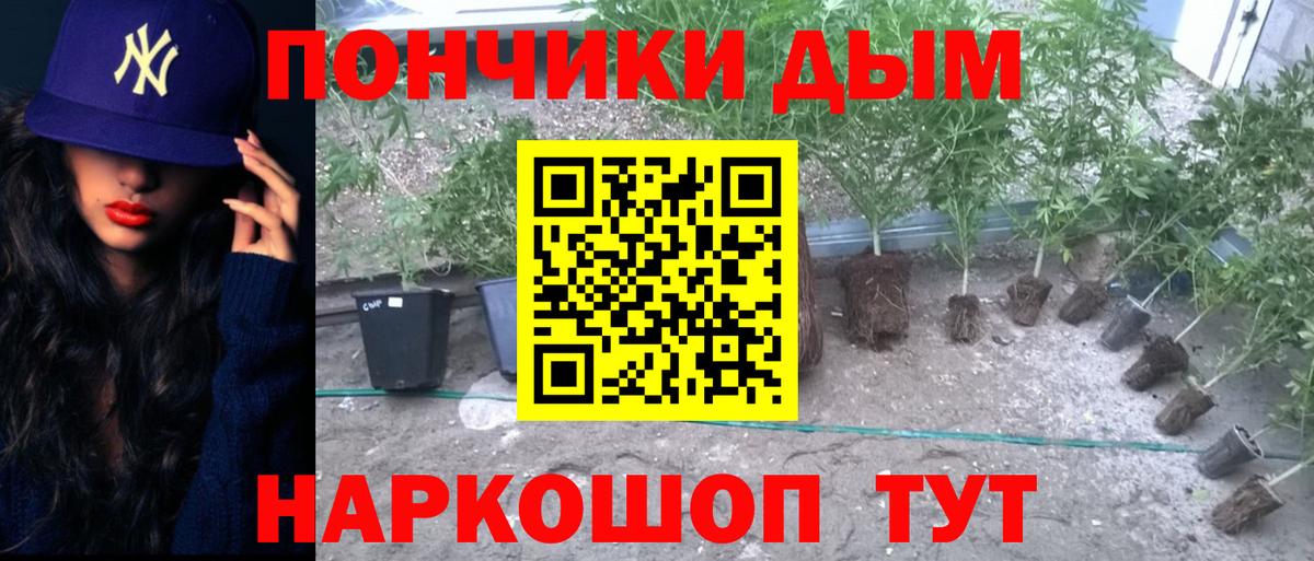 Бошки марихуана LSD WEED  Бошки Шишки ГИДРОПОН  Рыбинск  Вход с VPN 